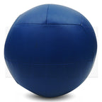 MA1 25lb Wall Ball - Blue
