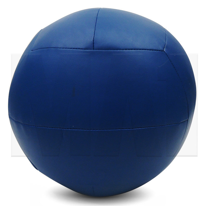 MA1 25lb Wall Ball - Blue