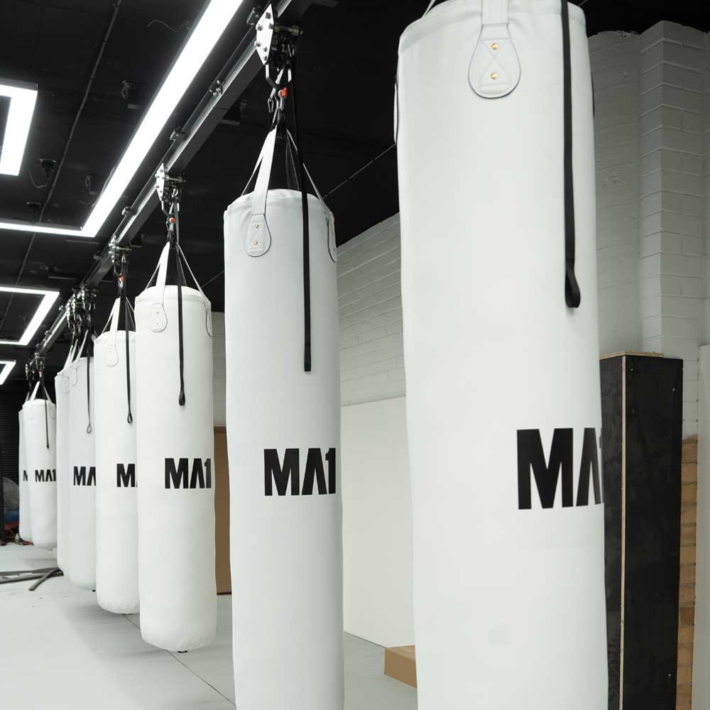 Boxing Bag Sliding Rail System