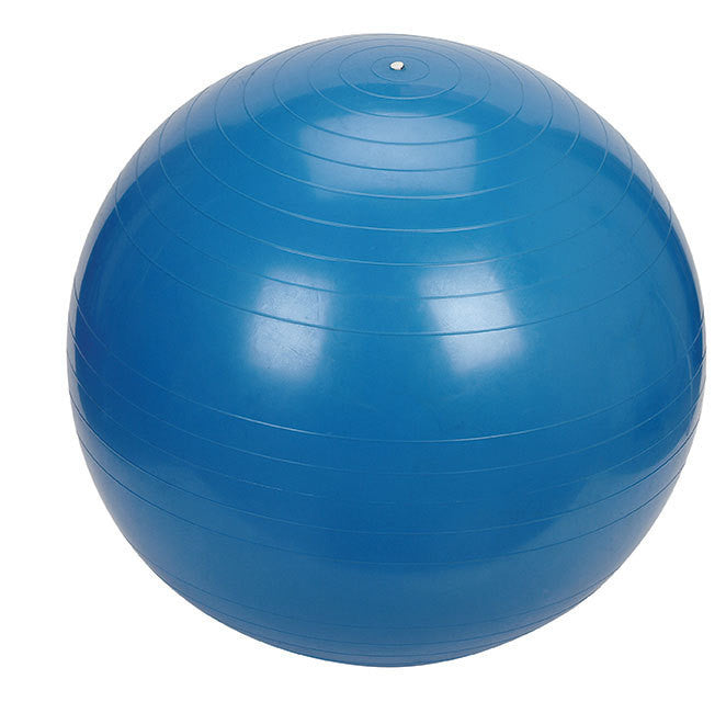 Gym Ball - 65cm, Blue